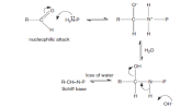 Aldehyde-reaction-with-an-amino-group-of-skin-proteins-P-protein-8.png