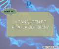 HOÁN VỊ GEN CÓ PHẢI LÀ ĐỘT BIẾN.png