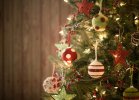 Christmas-tree-holiday-pine.jpg