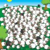 sheep-1-1490802276231.jpg