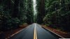 beautiful_road_3-wallpaper-1366x768.jpg