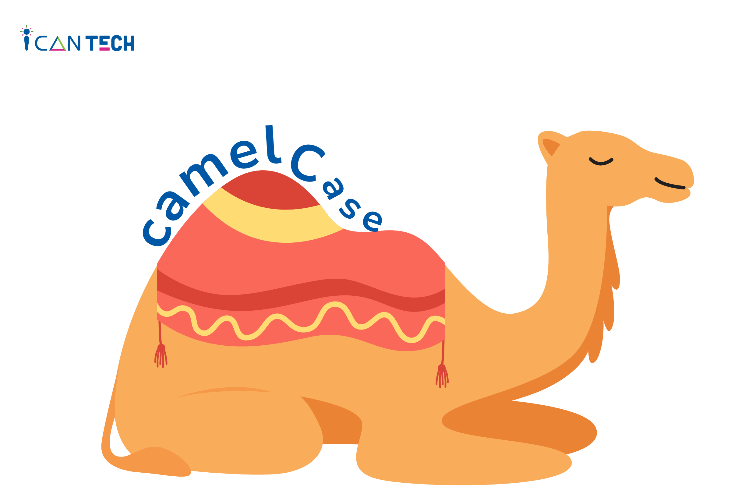 camel-case-la-gi